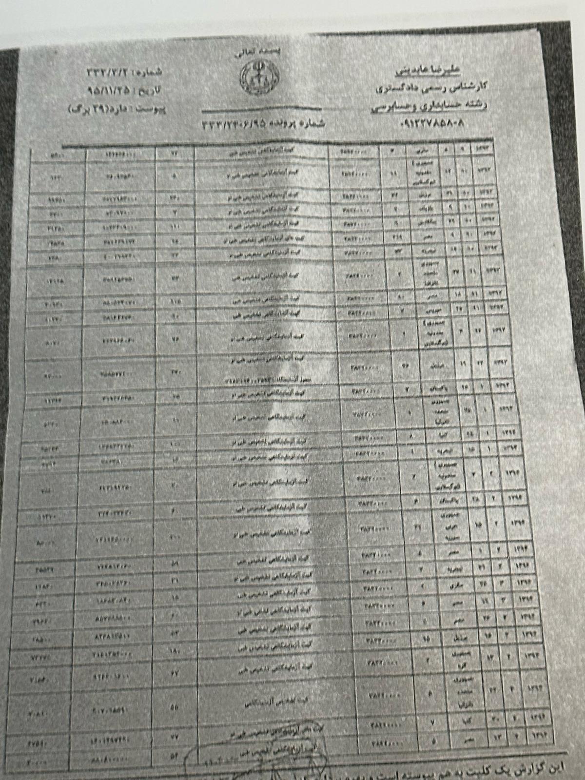 Court expert report, further page