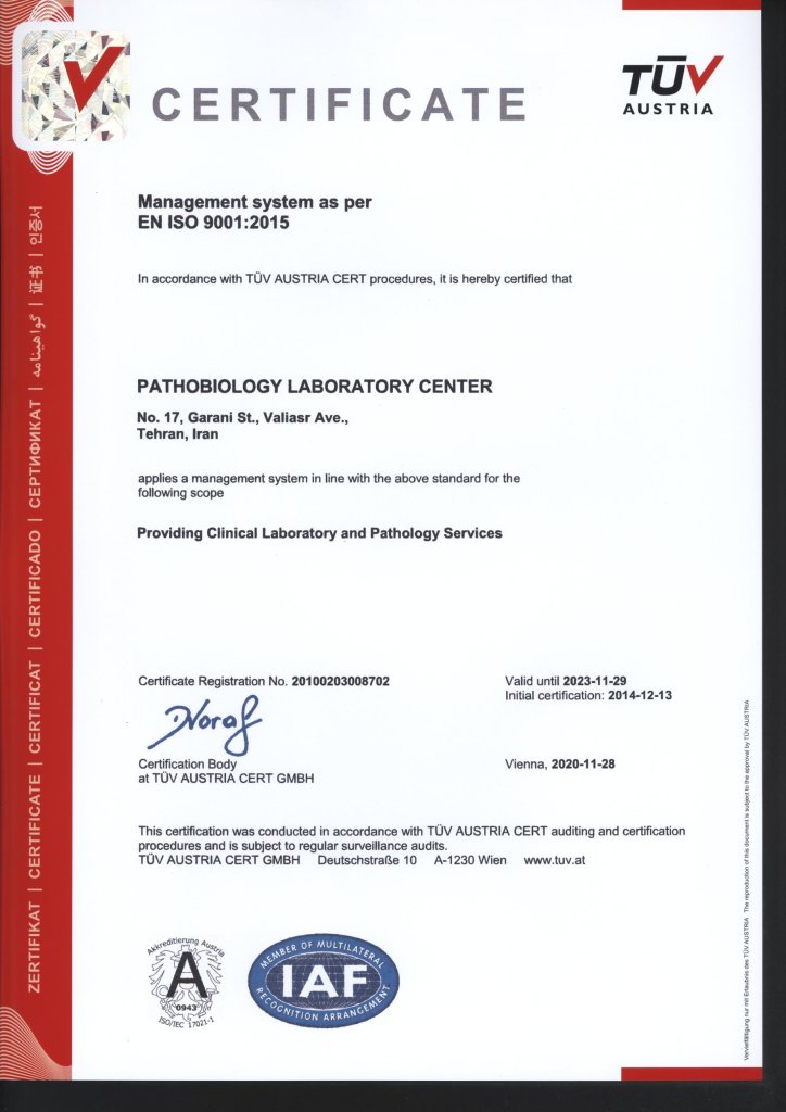 TÜV AUSTRIA 2020
